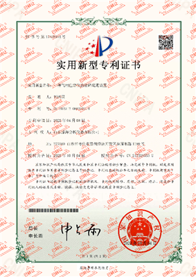 專(zhuān)利10